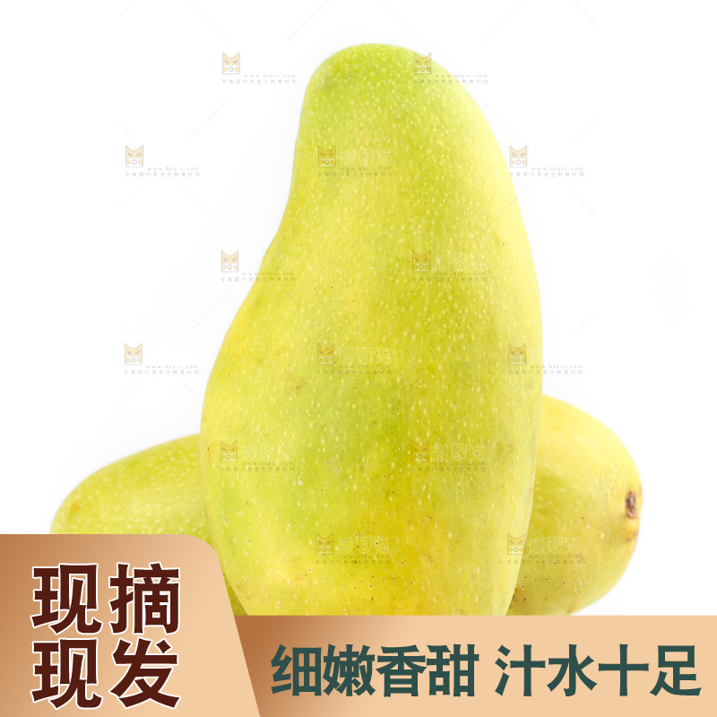 白底上的金煌芒