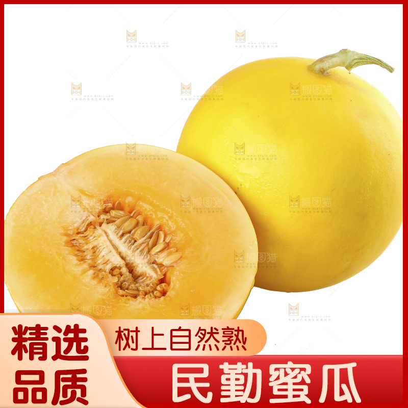 白底上的民勤蜜瓜