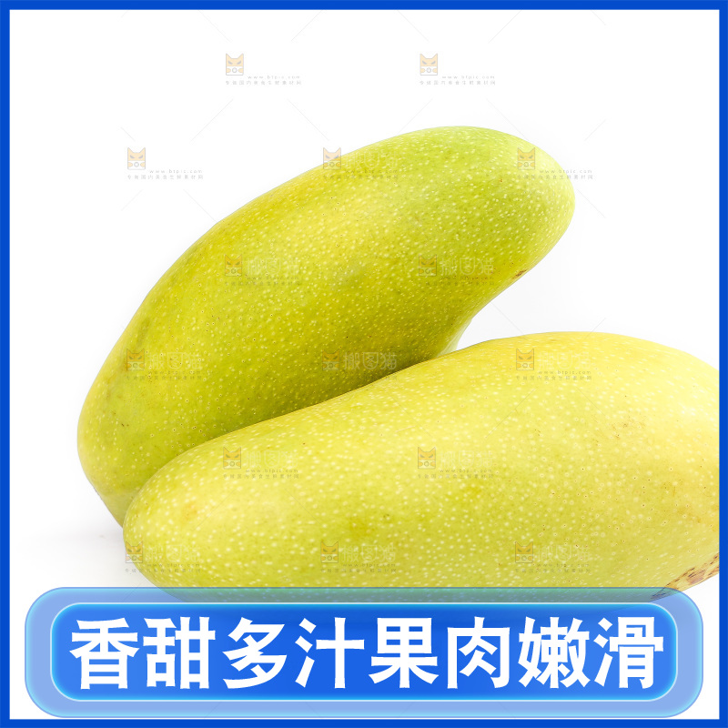 白底上的金煌芒