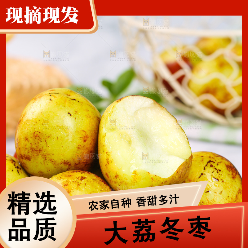 浅底上的冬枣