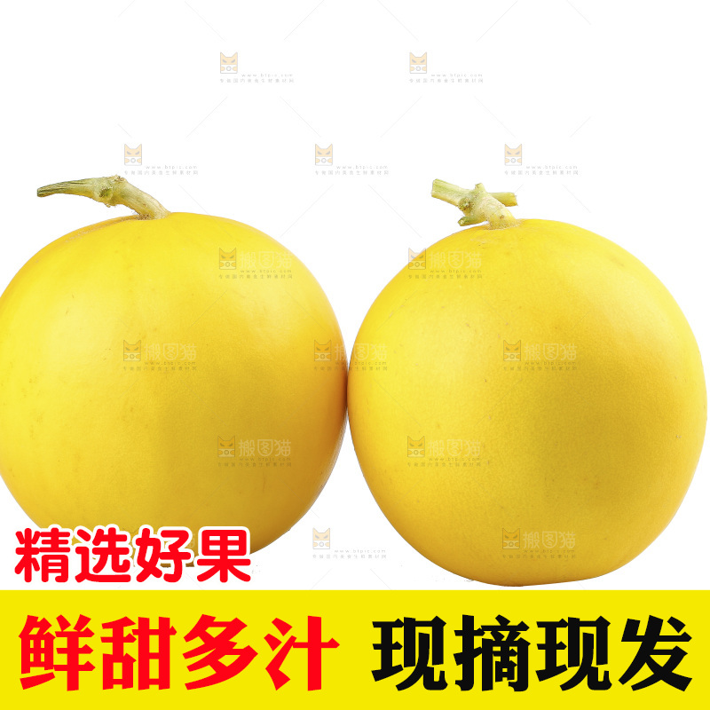 白底上的民勤蜜瓜