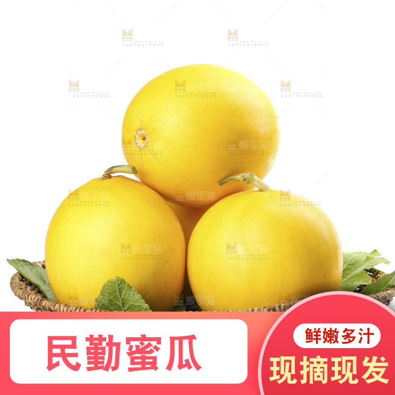 白底上的民勤蜜瓜