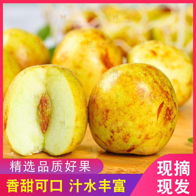 浅底上的冬枣
