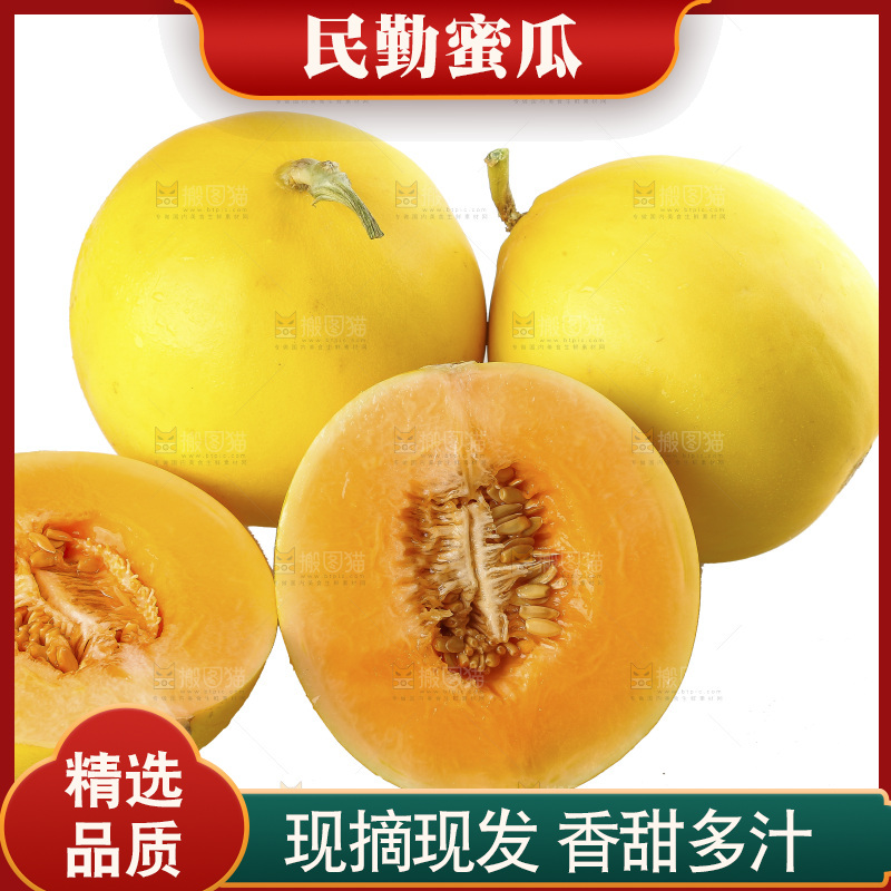 白底上的民勤蜜瓜