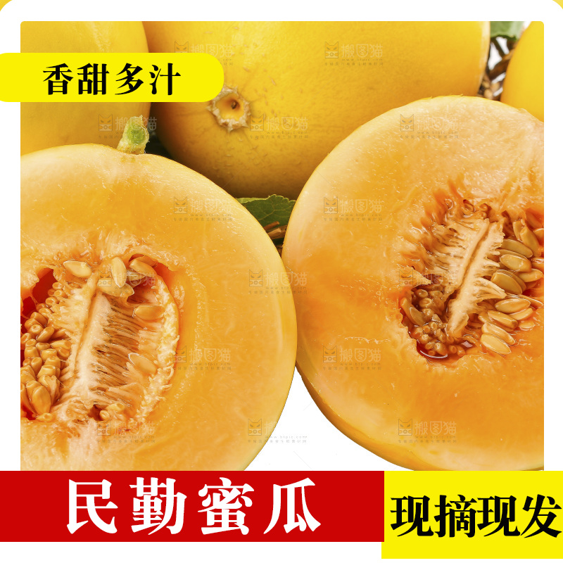 白底上的民勤蜜瓜