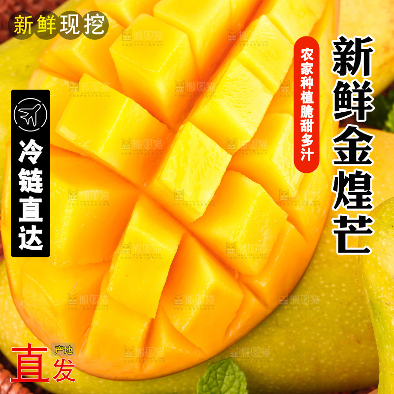 白底上的金煌芒