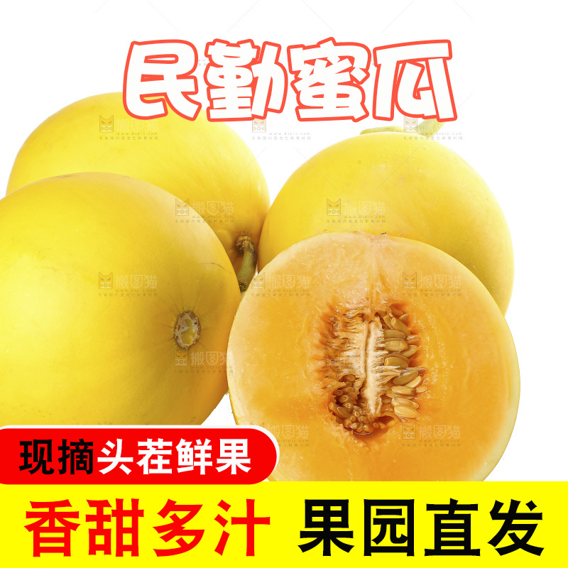 白底上的民勤蜜瓜