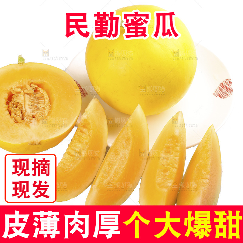 白底上的民勤蜜瓜