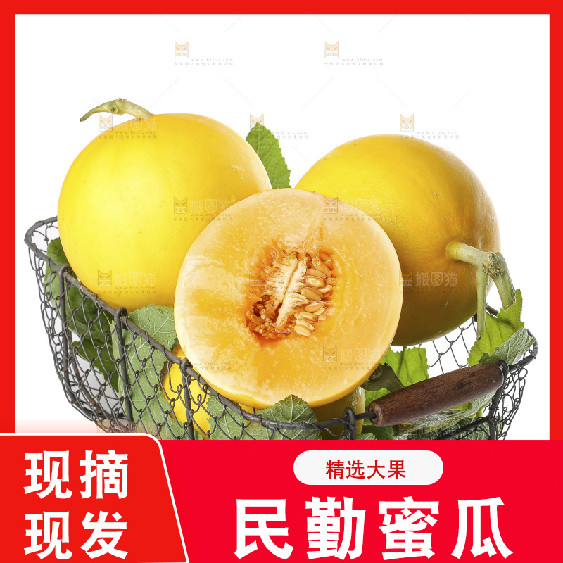 白底上的民勤蜜瓜