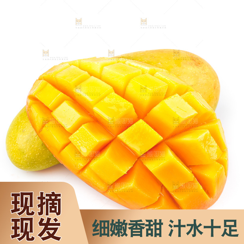 白底上的金煌芒