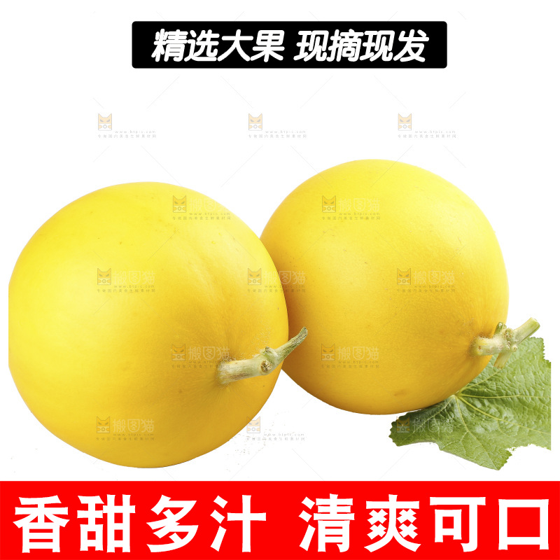 白底上的民勤蜜瓜