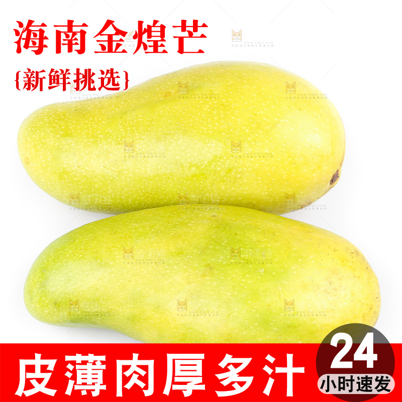 白底上的金煌芒