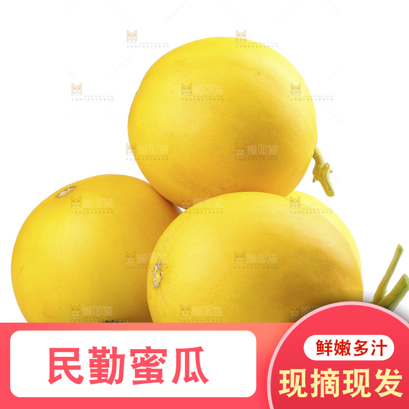 白底上的民勤蜜瓜