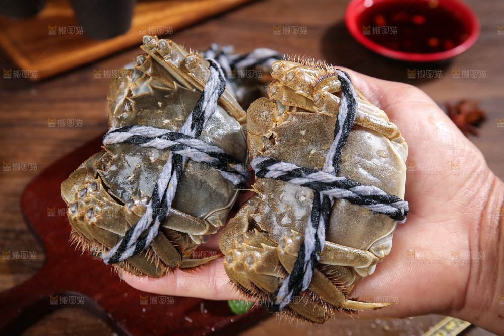 深底上的阳澄湖大闸蟹