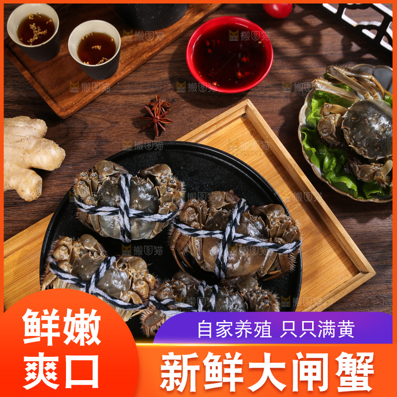 深底上的新鲜大闸蟹