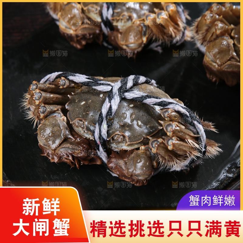 深底上的新鲜大闸蟹