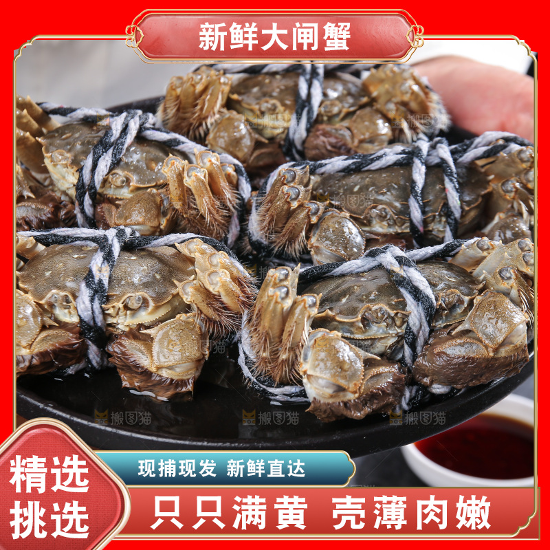 深底上的阳澄湖大闸蟹