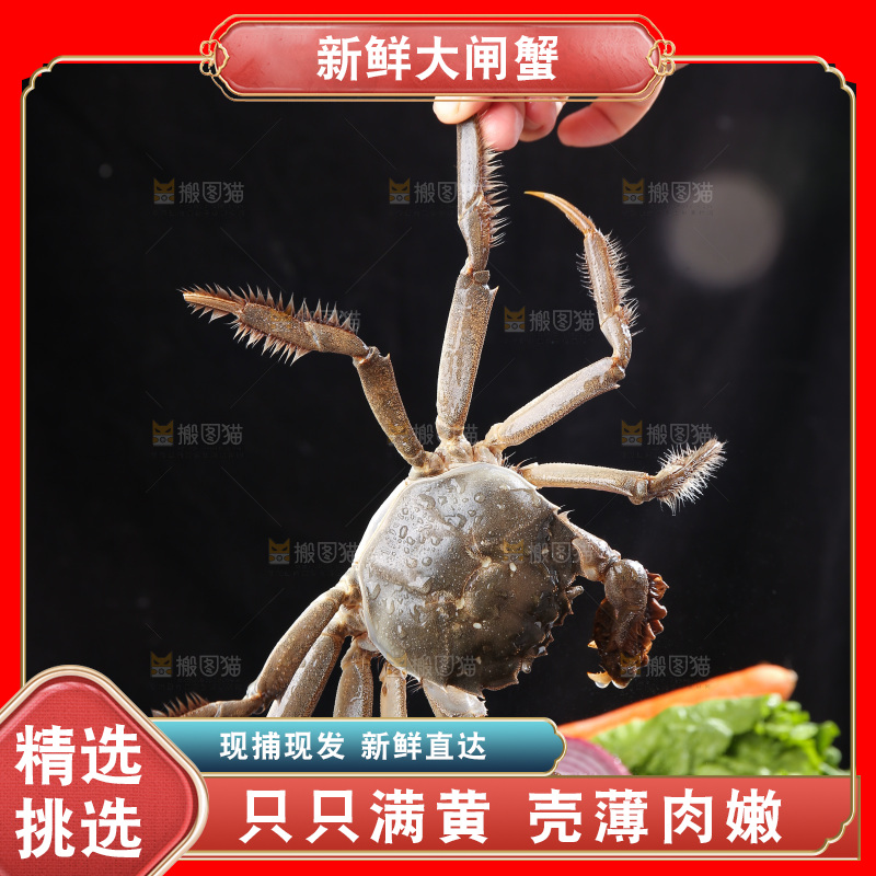 深底上的阳澄湖大闸蟹