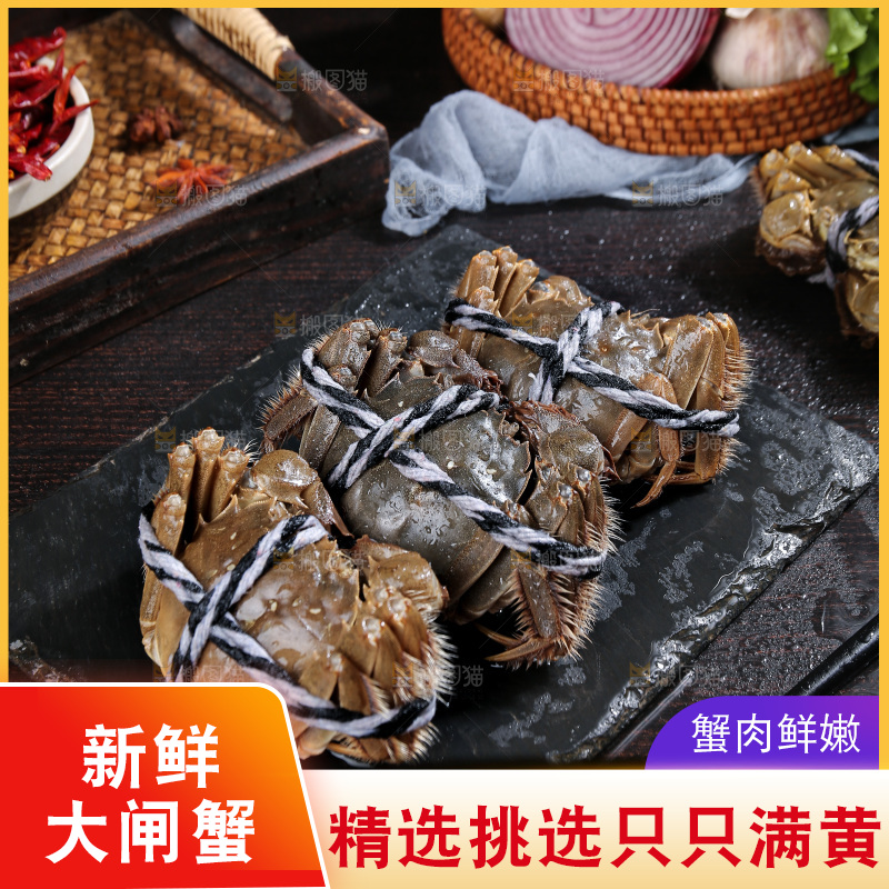 深底上的阳澄湖大闸蟹