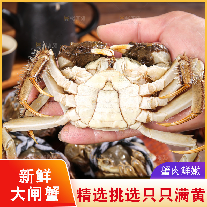 深底上的阳澄湖大闸蟹