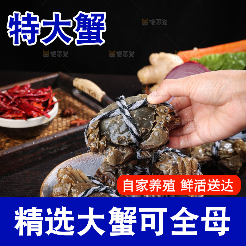 深底上的阳澄湖大闸蟹