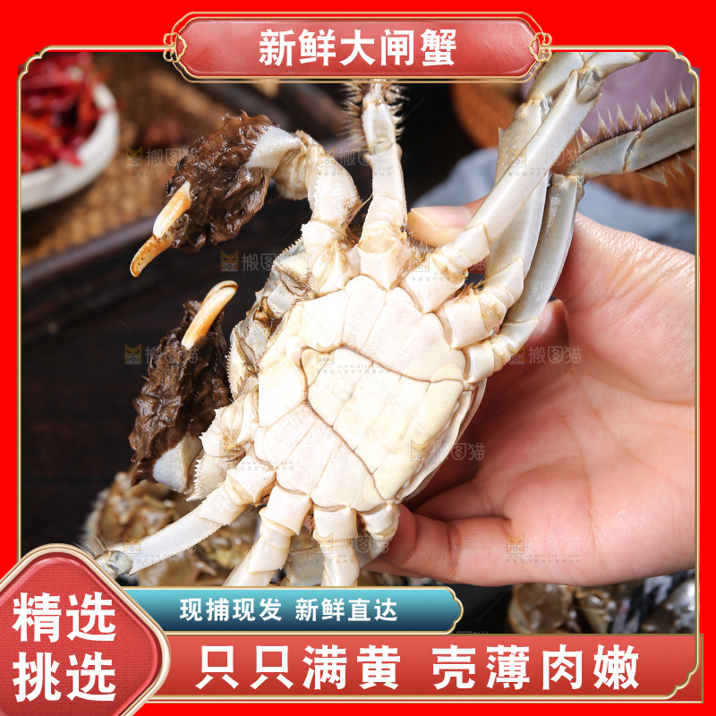 深底上的阳澄湖大闸蟹