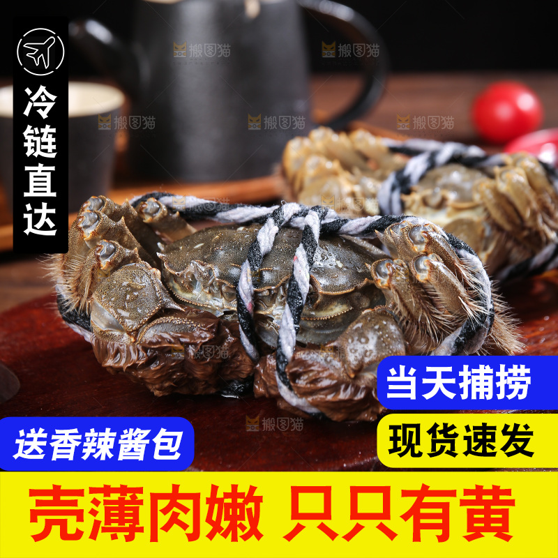 深底上的阳澄湖大闸蟹