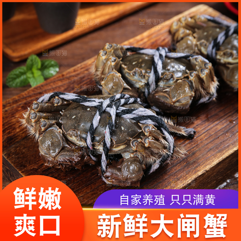 深底上的新鲜大闸蟹