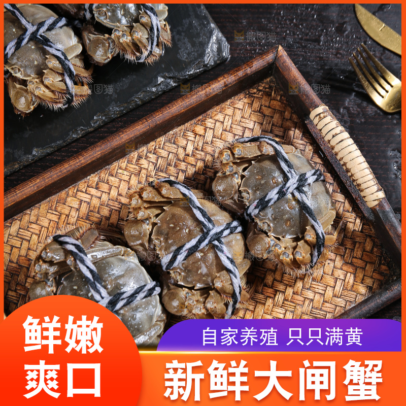 深底上的新鲜大闸蟹