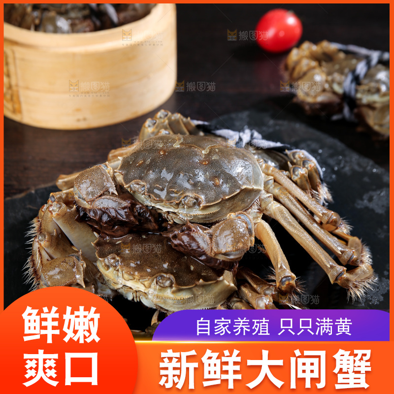 深底上的阳澄湖大闸蟹