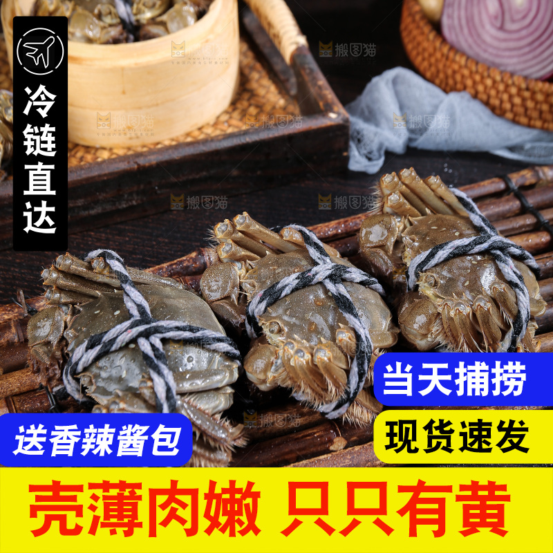 深底上的阳澄湖大闸蟹