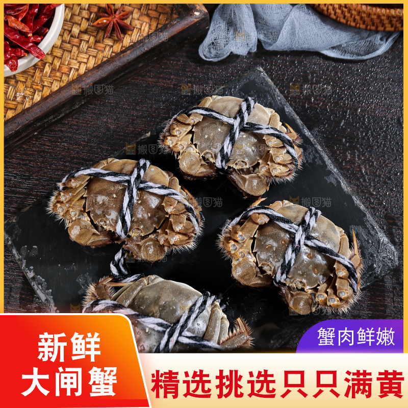 深底上的阳澄湖大闸蟹