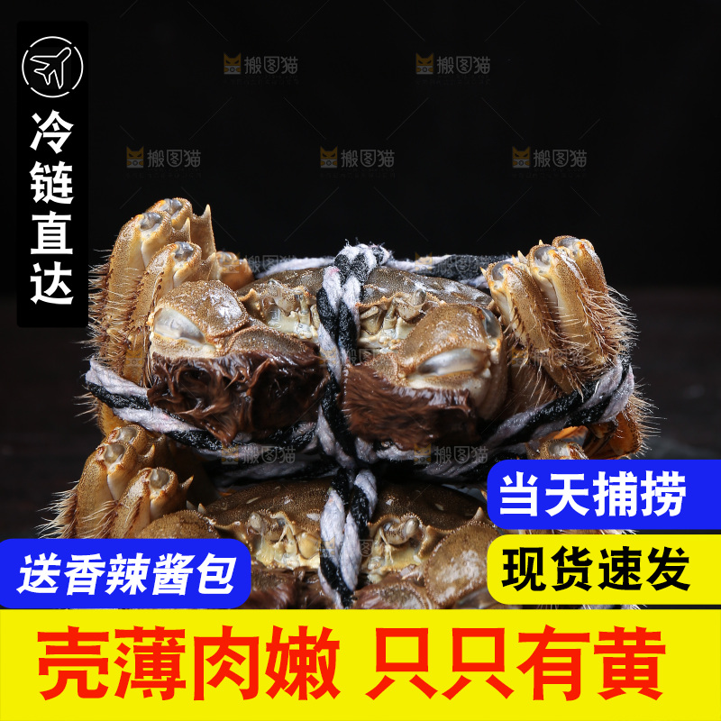 深底上的新鲜大闸蟹