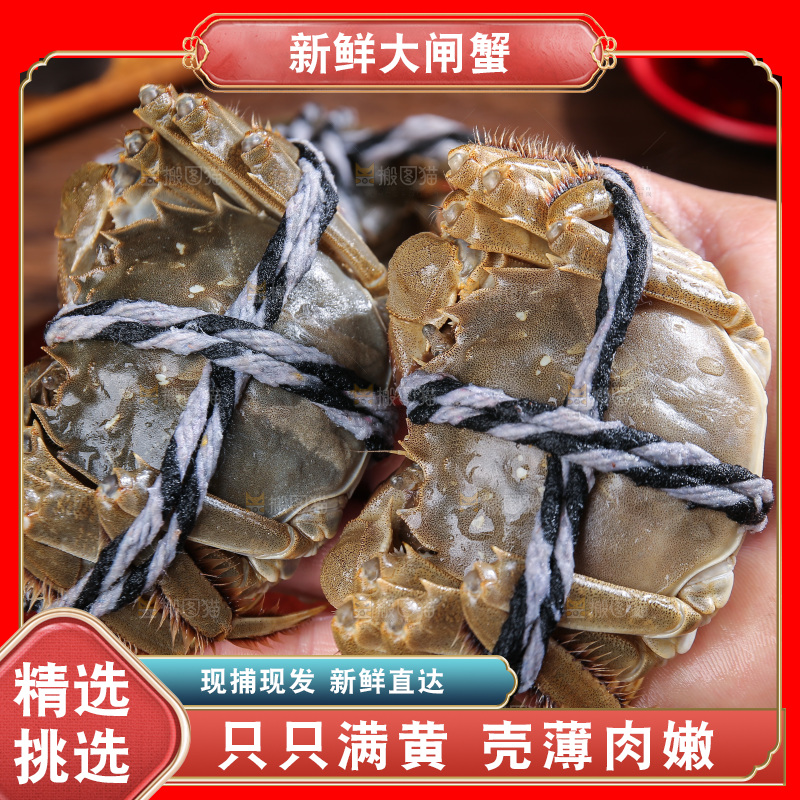 深底上的阳澄湖大闸蟹
