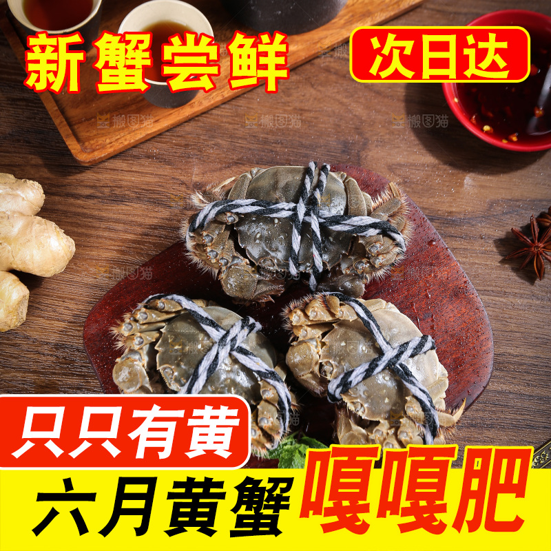 深底上的阳澄湖大闸蟹