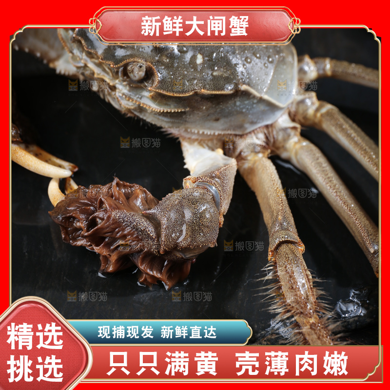 深底上的阳澄湖大闸蟹