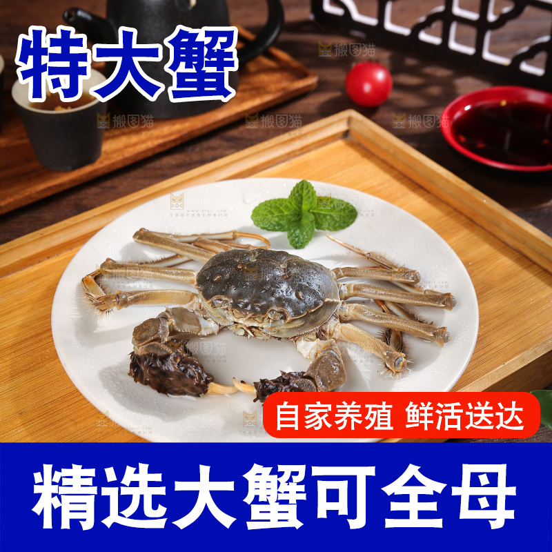 深底上的阳澄湖大闸蟹