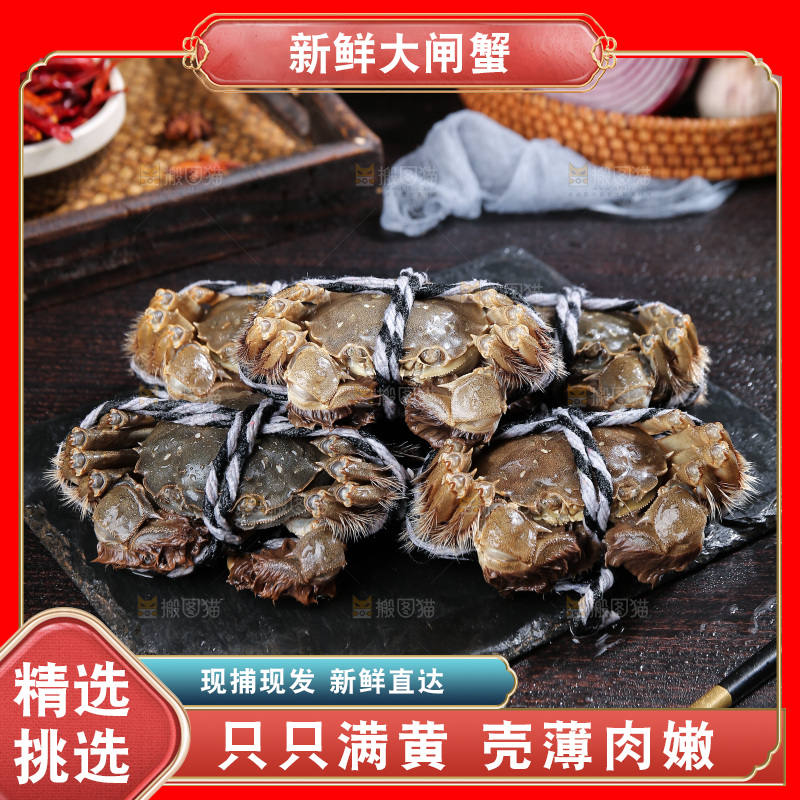 深底上的阳澄湖大闸蟹