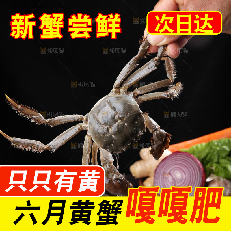 深底上的阳澄湖大闸蟹