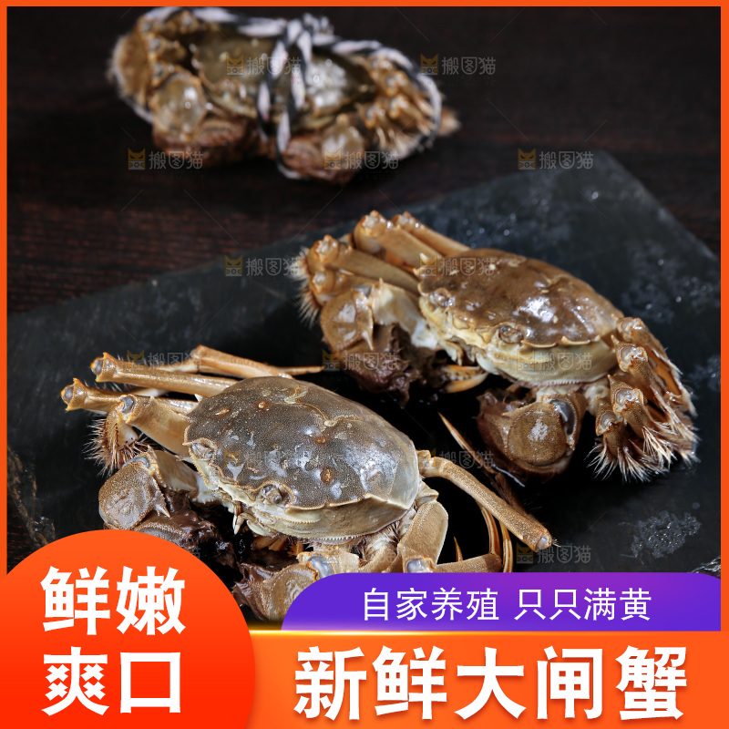 深底上的新鲜大闸蟹