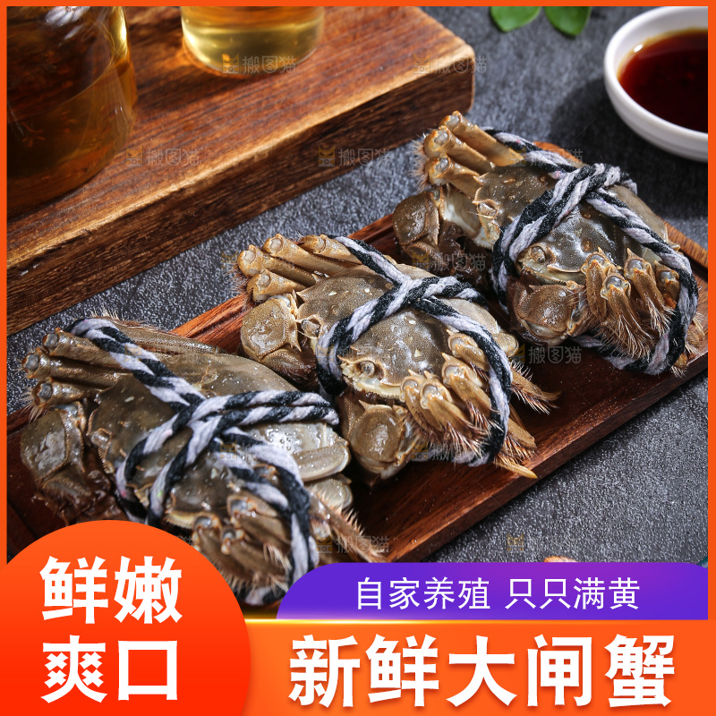 深底上的大闸蟹