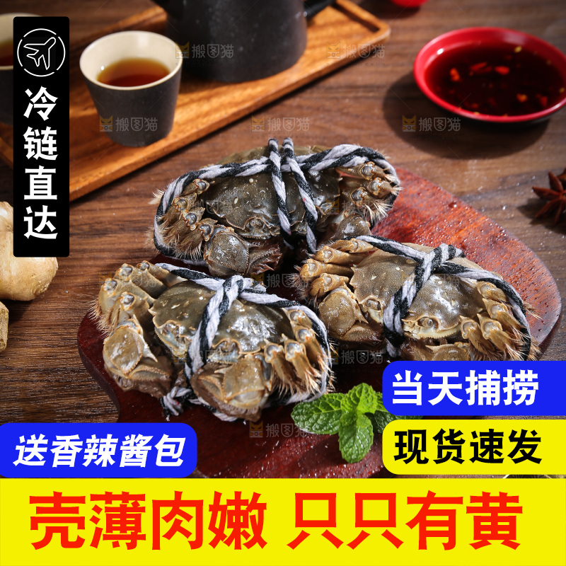 深底上的阳澄湖大闸蟹