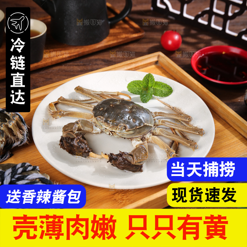 深底上的阳澄湖大闸蟹