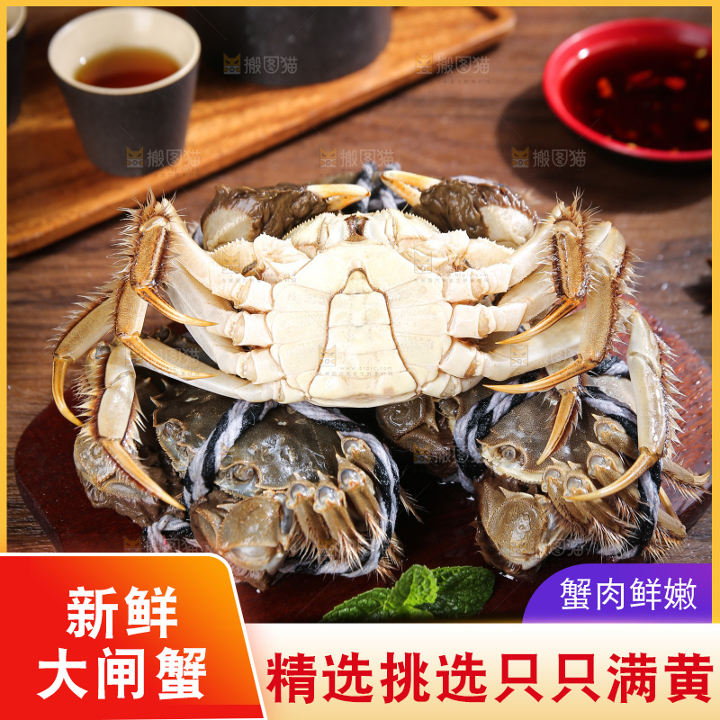 深底上的阳澄湖大闸蟹