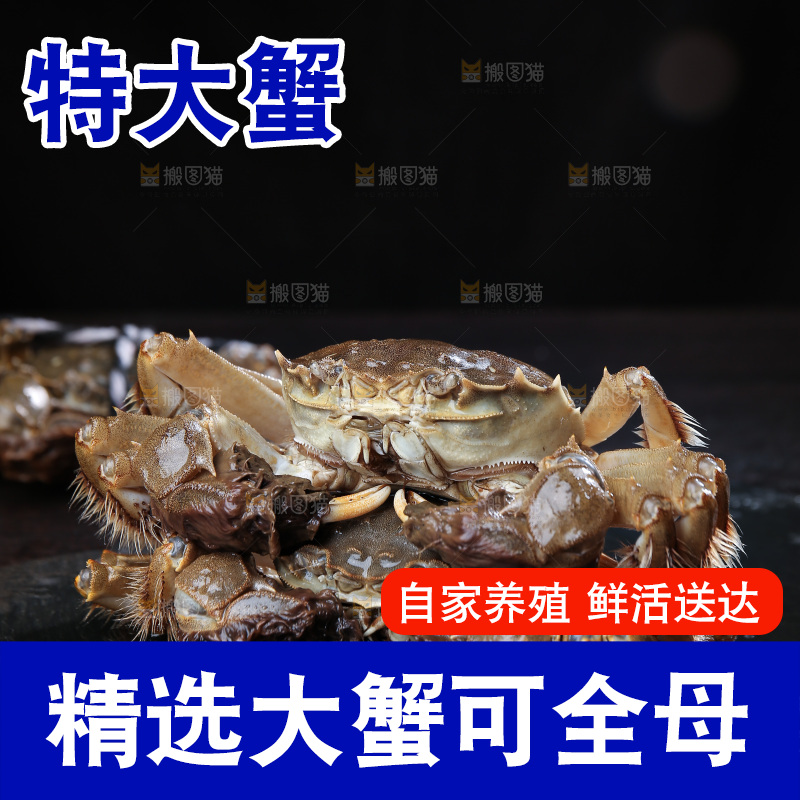 深底上的新鲜大闸蟹