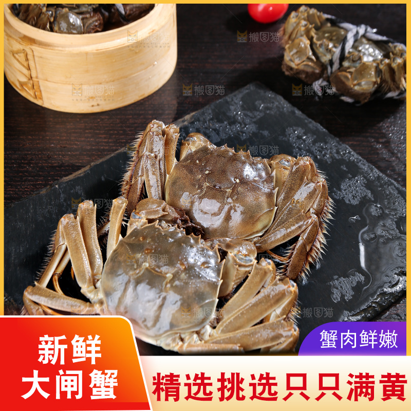 深底上的阳澄湖大闸蟹