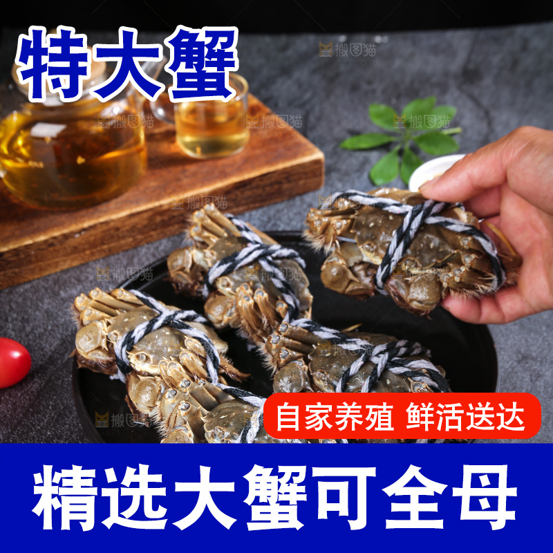 深底上的阳澄湖大闸蟹