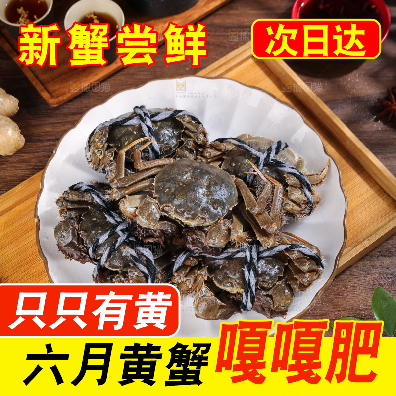 深底上的新鲜大闸蟹