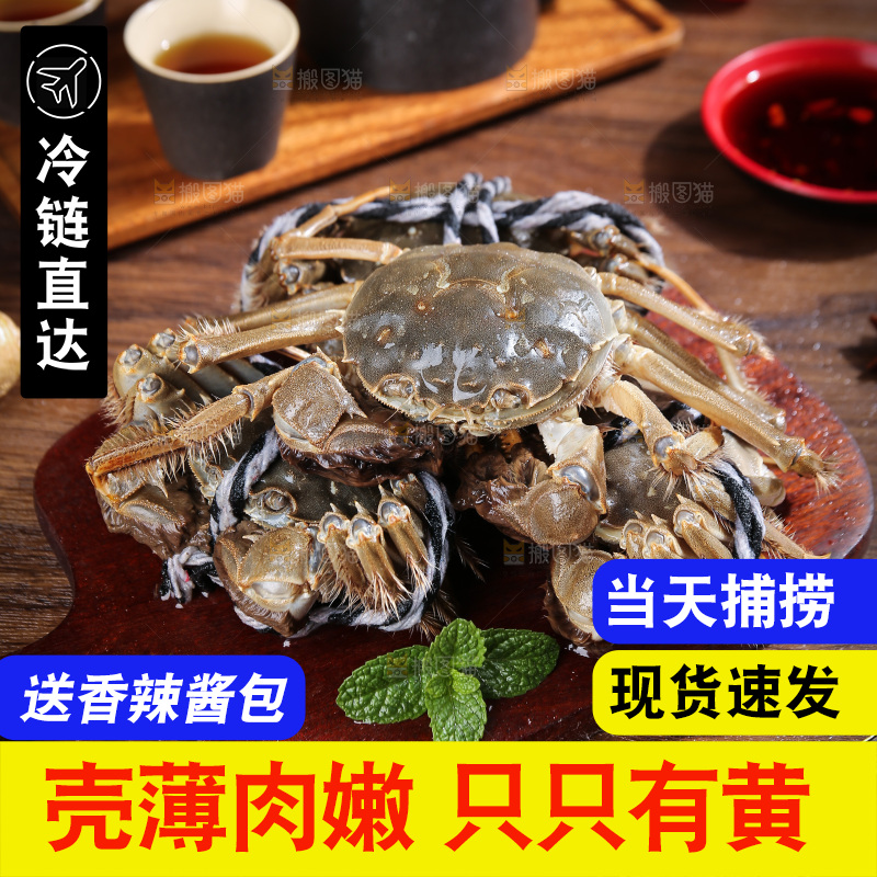 深底上的阳澄湖大闸蟹