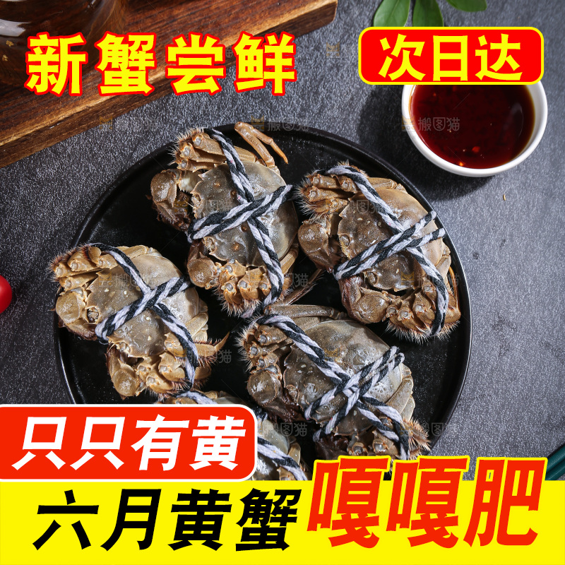 深底上的阳澄湖大闸蟹